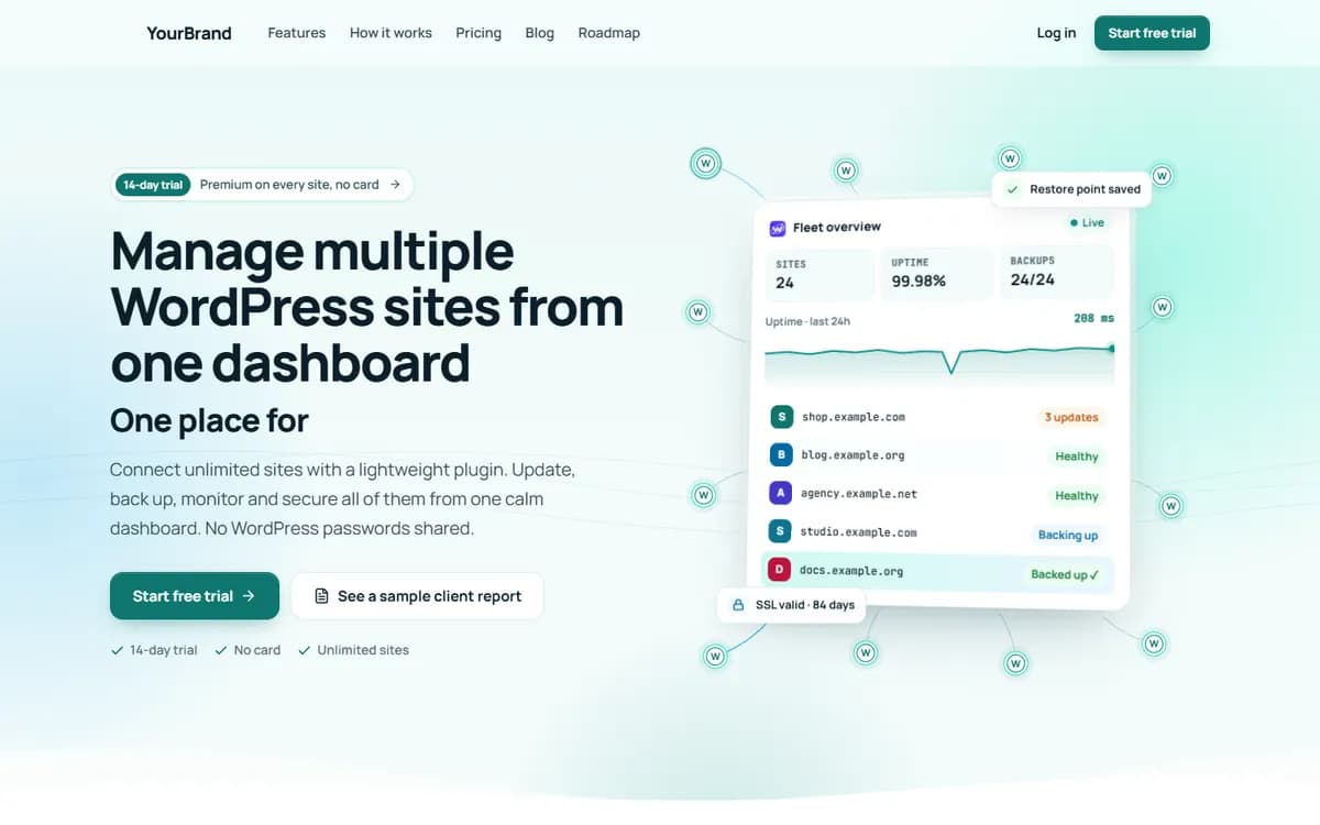WordPress Management Dashboard: example platform we built (brand hidden)